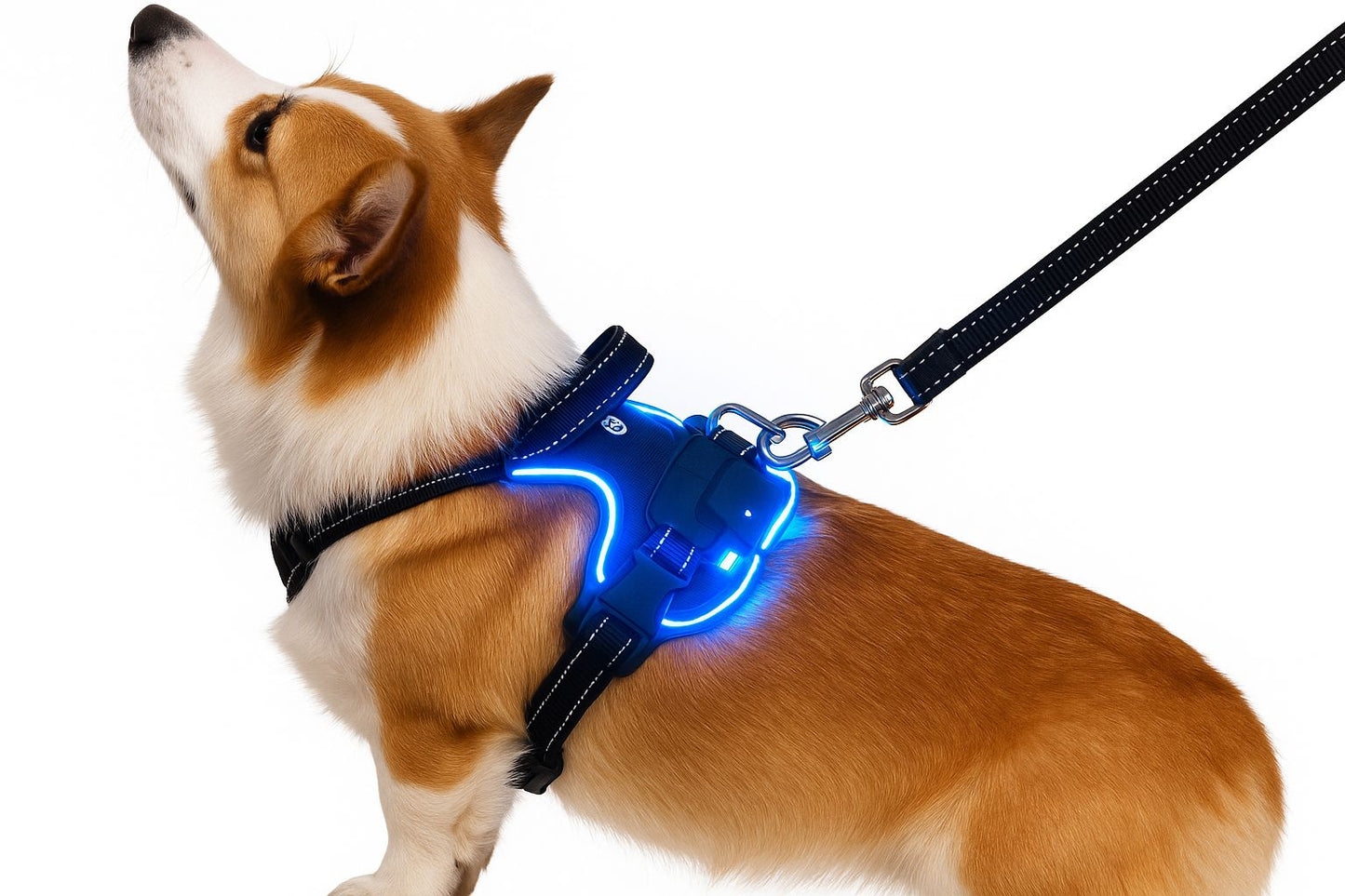 🐶Corazón Brillante – Arnés LED que Cuida y Acompaña✨