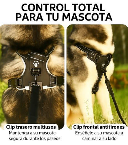 🐶Corazón Brillante – Arnés LED que Cuida y Acompaña✨