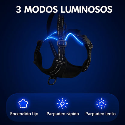 🐶Corazón Brillante – Arnés LED que Cuida y Acompaña✨